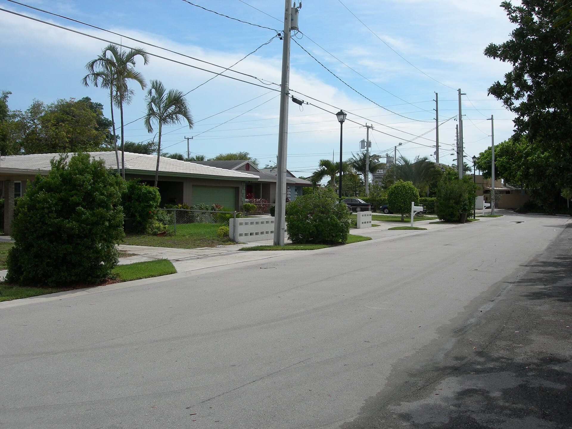 A quiet residential street of single-story homes and palm trees in Palm Beach County, Florida